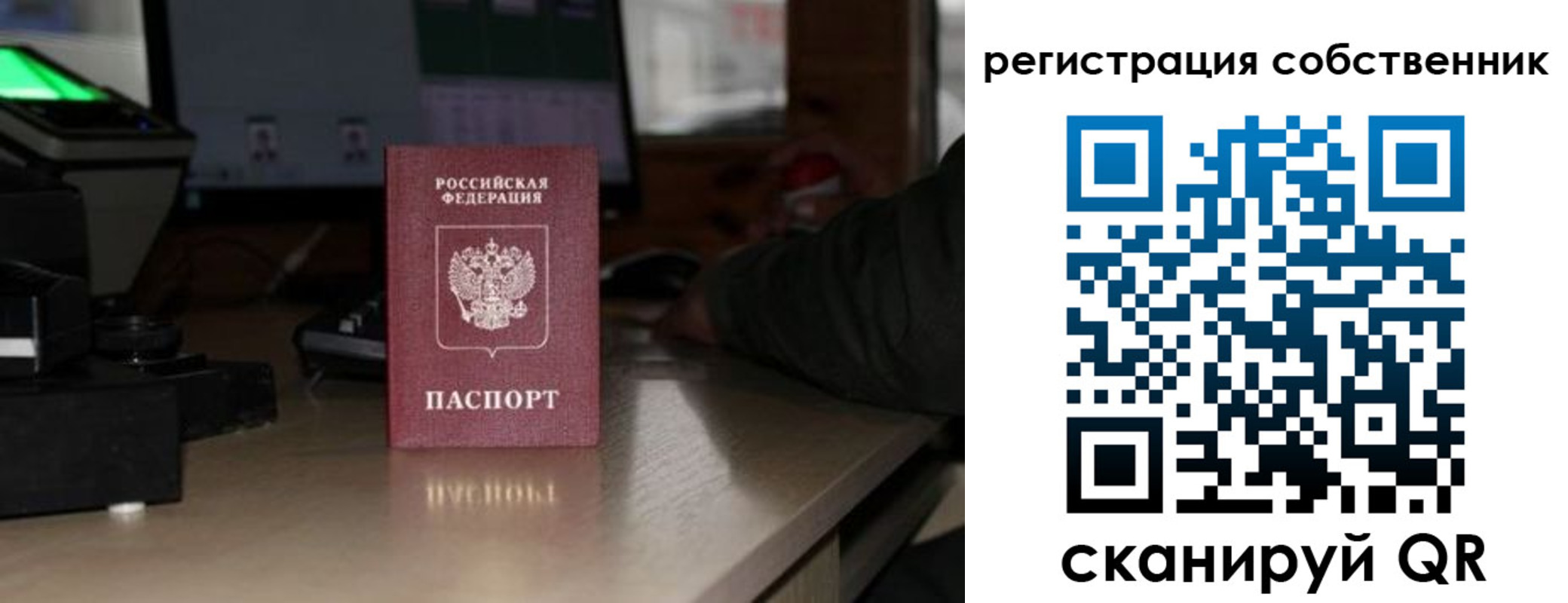 прописка поиск в Ставрополе